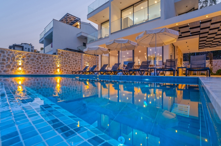 Villa Lion Image 0